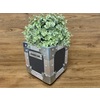 Flightcase Plant Pot In Grey